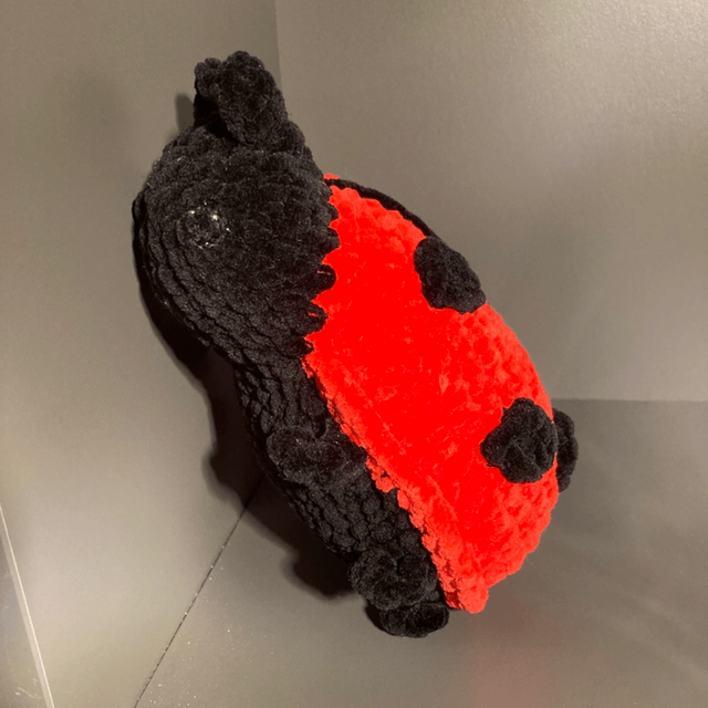 Coccinelle 