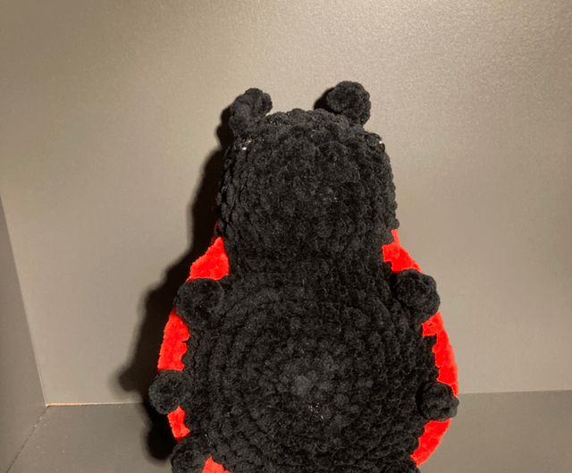 Coccinelle 