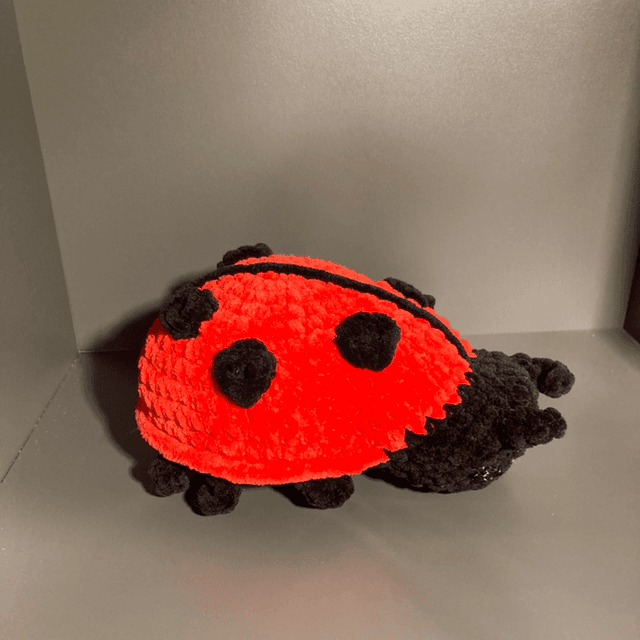 Coccinelle 