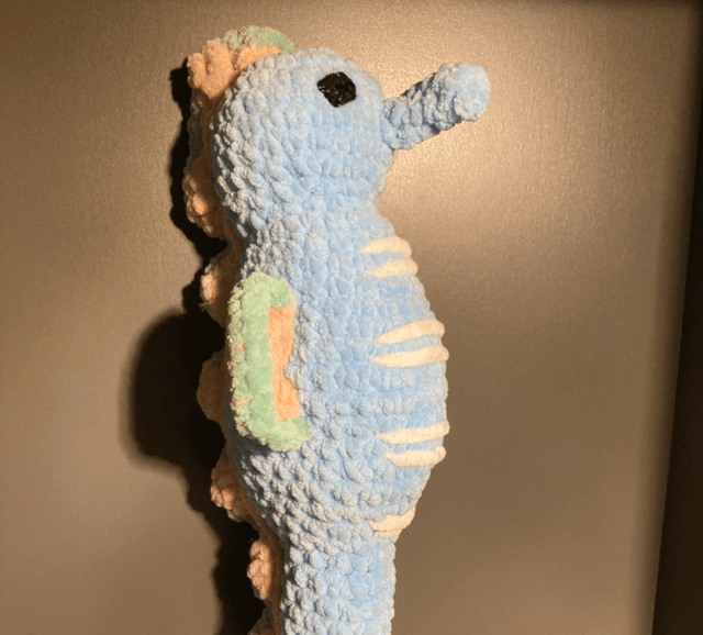 Hippocampe 